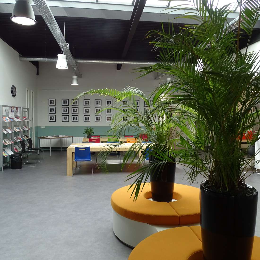 afbeelding bij Treant zorggroep opent haar 2e prikpost in het centrum